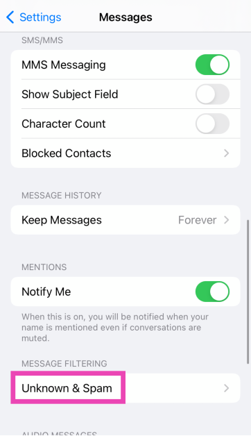 Step 2: Scroll down and tap on Unknown & Spam. Top 10 ways to fix iPhone not receiving texts (2024)