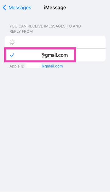 Step 3: Add your Apple ID email and make sure it is selected. Top 10 ways to fix iPhone not receiving texts (2024)