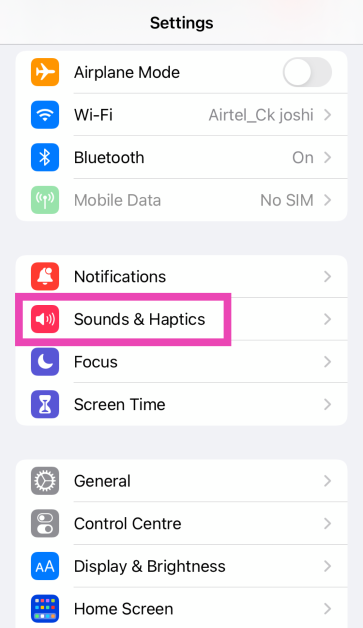 Step 1: Go to Settings and select Sound & Haptics.
