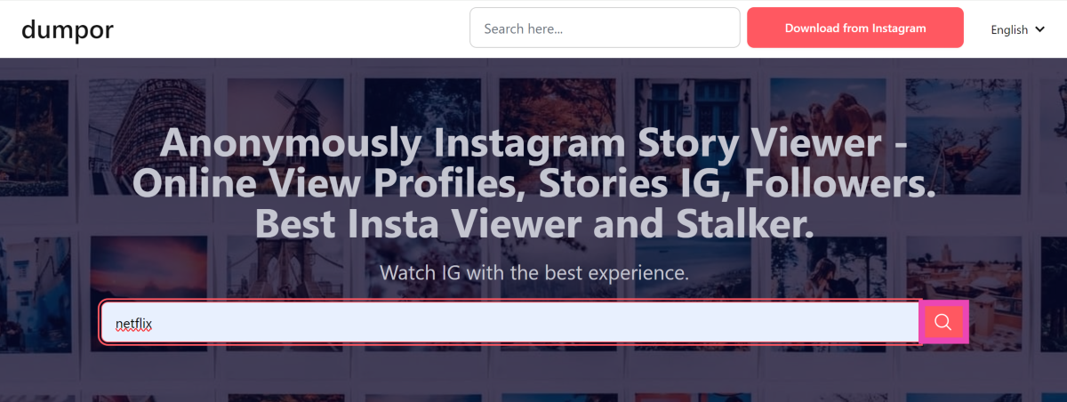 Step 2: Enter the Instagram handle in the box and hit the search icon.