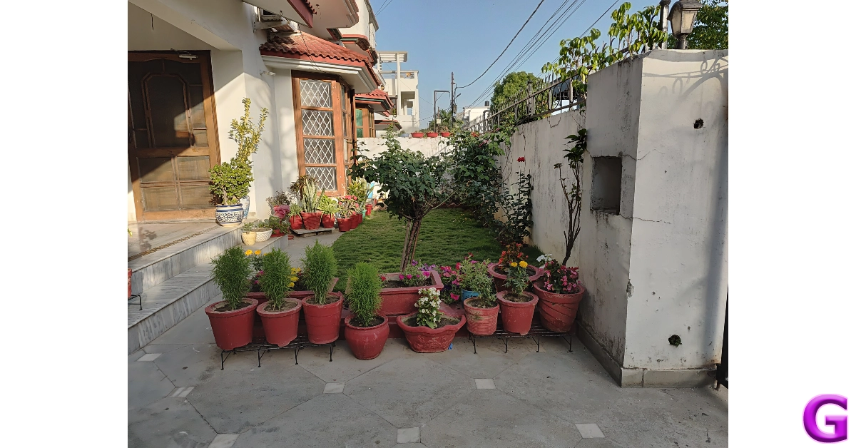 Samsung Galaxy M55 Review: Performance and Cameras