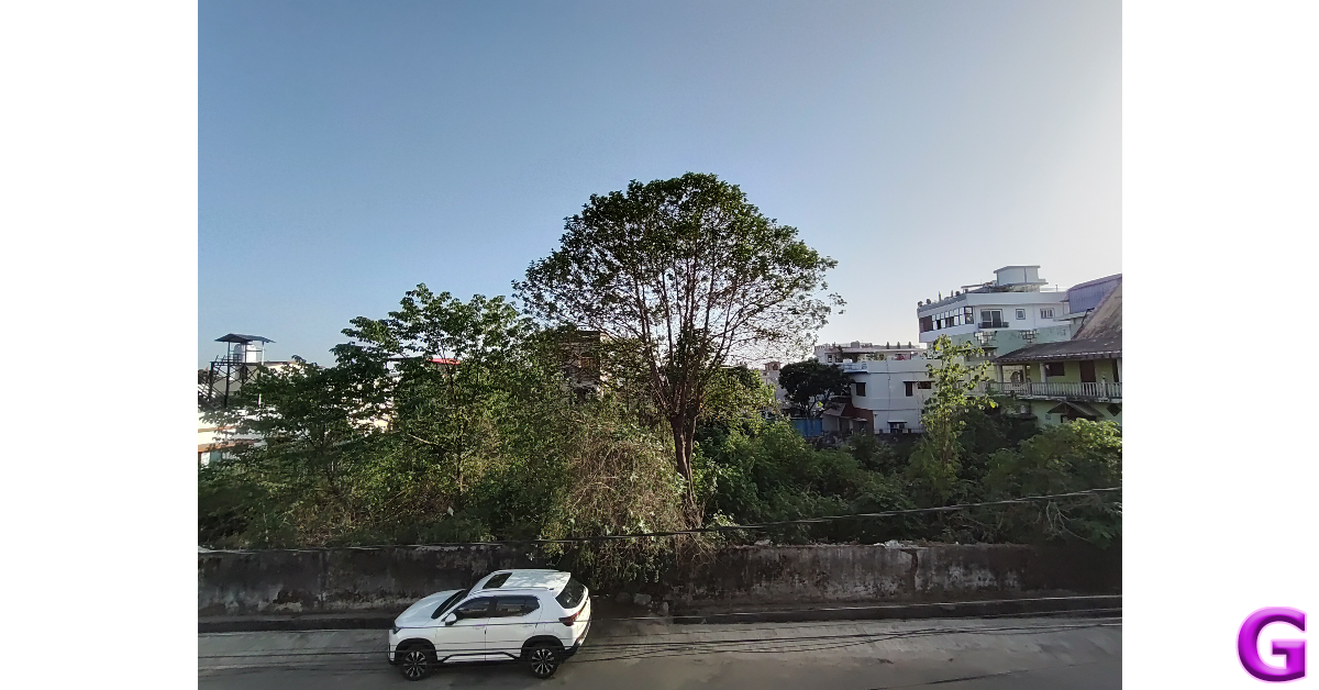 Samsung Galaxy M55 Review: Performance and Cameras