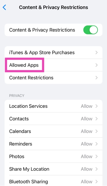 Step 4: Tap on Allowed Apps.