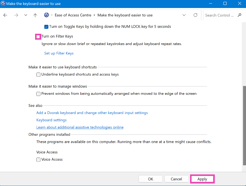 Step 3: De-select Turn on Filter keys.