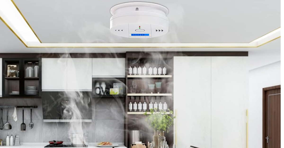 Hasthip Carbon Monoxide Detector Best Safety Gadgets For Your Home (2024)