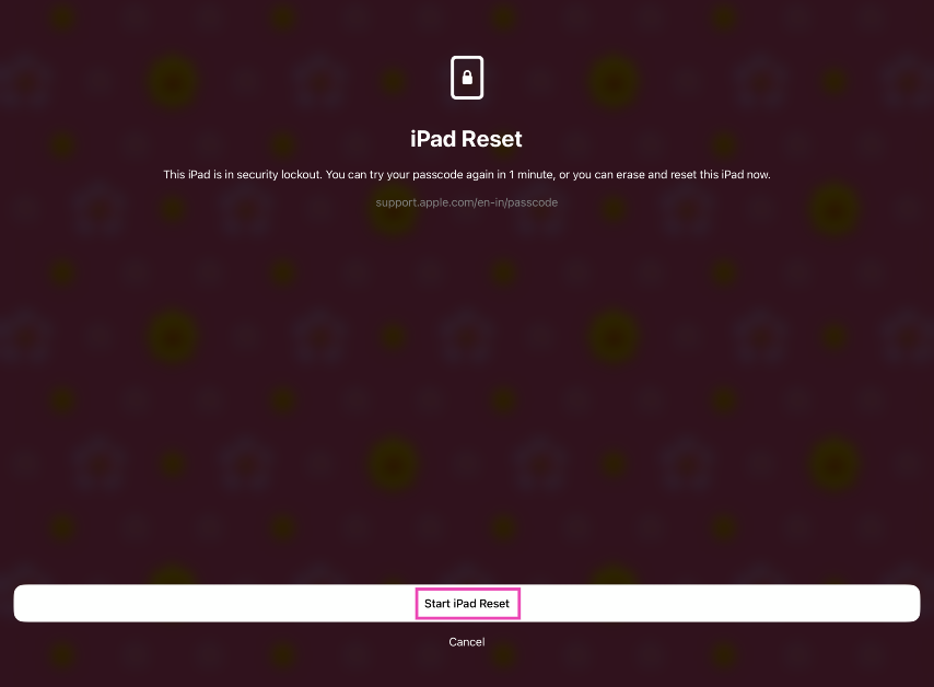 Step 3: Tap on Start iPad Reset.