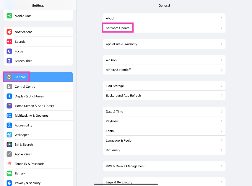 Step 6: Go to Settings>General and select Software Update.