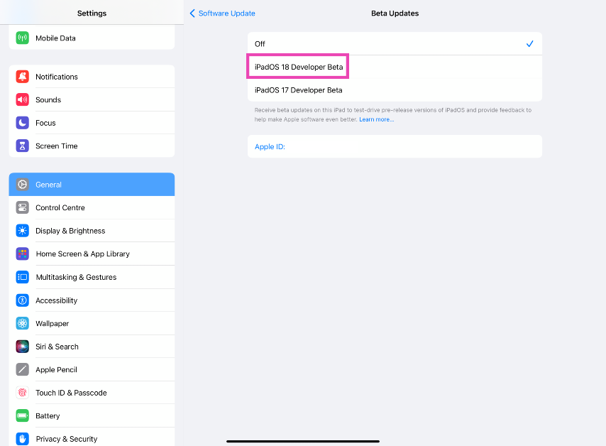 Step 8: Select iPadOS 18 Developer Beta. How to Install iPadOS 18 Developer Beta on your iPad?
