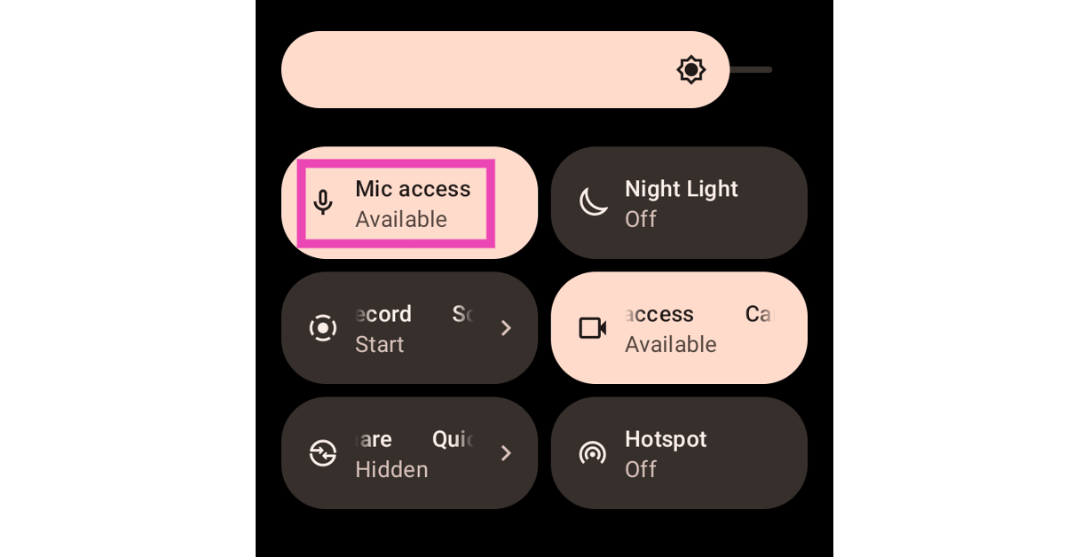 Check microphone access