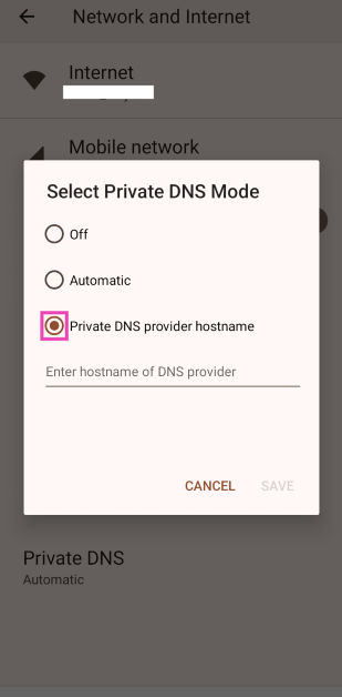 Step 3: Select Private DNS provider hostname. Top 3 ways to clear or flush DNS cache on an Android phone (2024)