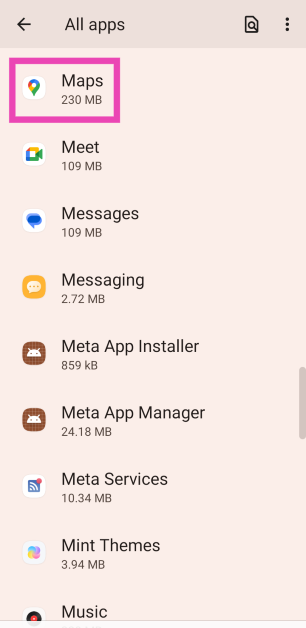 Step 2: Tap on Google Maps.