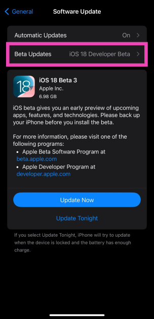 Step 5: Tap on Beta Updates. How to get iOS 18 Public Beta on your iPhone?