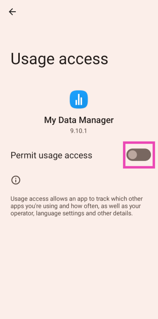 Step 2: Launch the app and allow usage access to the app.