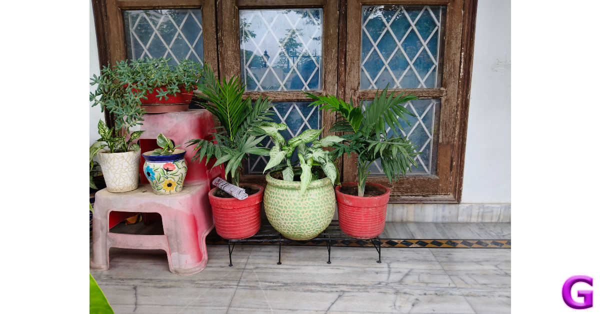 Oppo Reno12 Review: Performance and Cameras