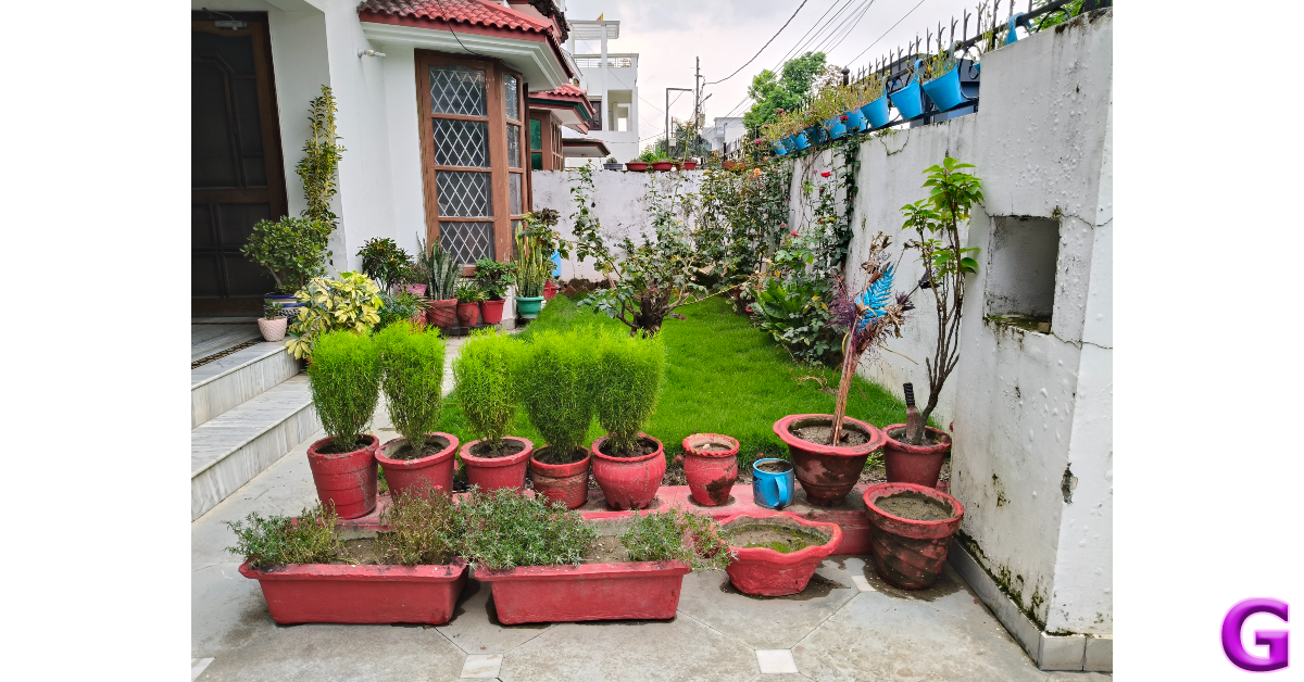 Oppo Reno12 Review: Performance and Cameras