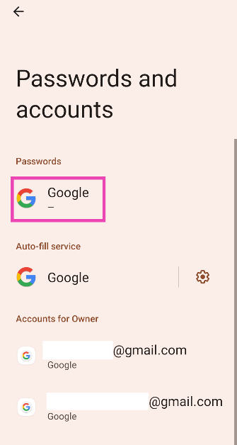 Step 2: Tap on the Google Account under passwords.
