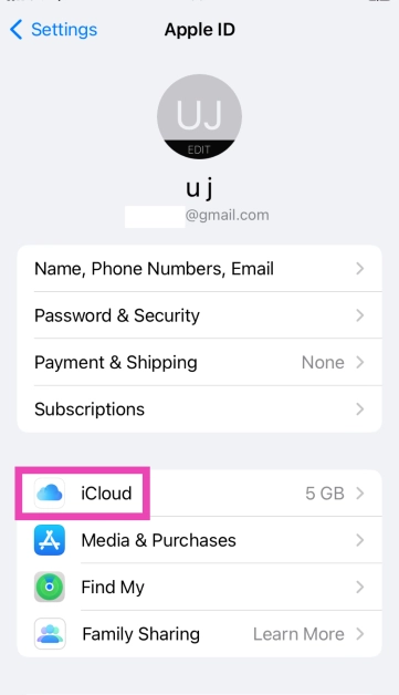 Step 2: Select iCloud.