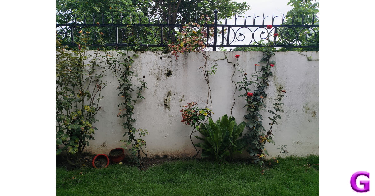 Redmi 13 5G Review: Performance and Cameras