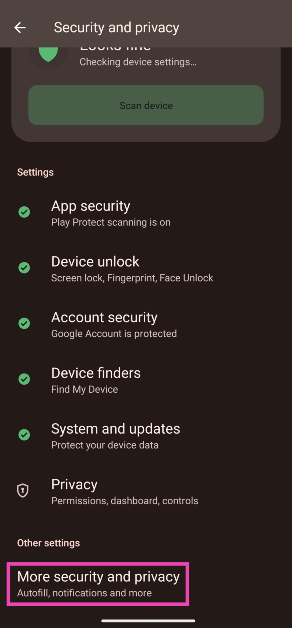 Step 2: Tap on More security and privacy.