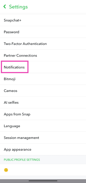 Step 3: Tap on Notifications.