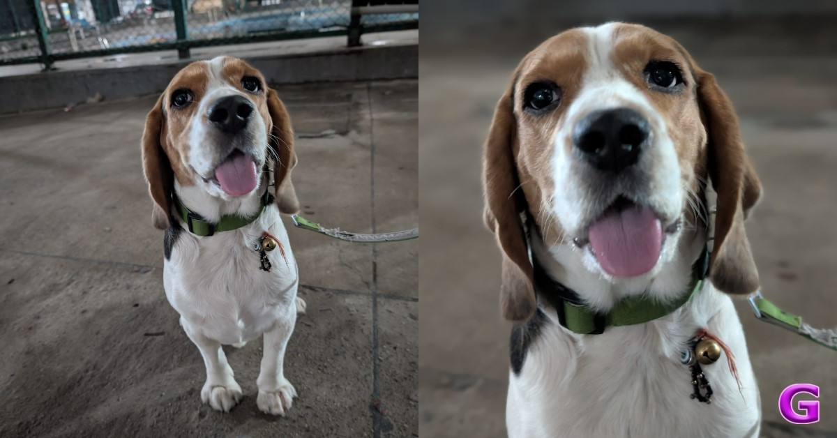 Extreme Low light (normal vs portrait)