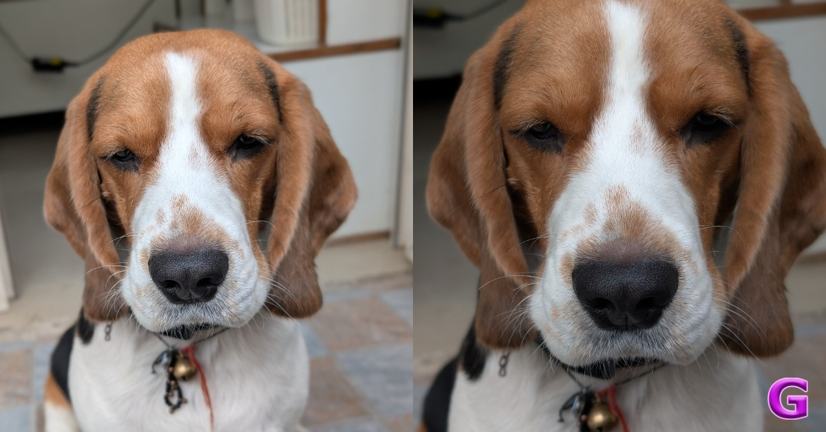 daylight portraits