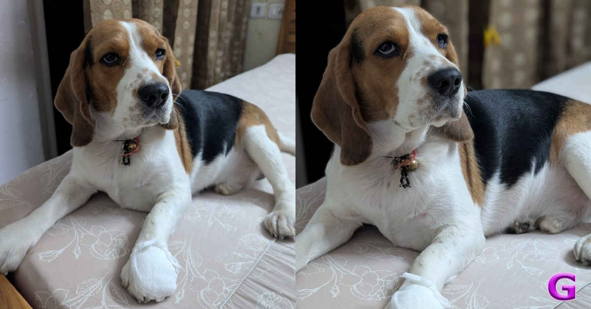 normal vs portrait indoor lighting