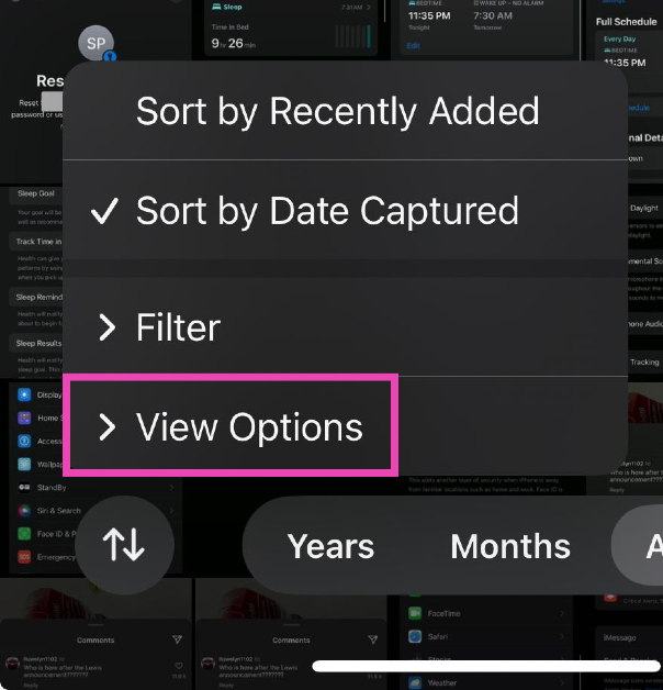 Step 3: Select View Options.