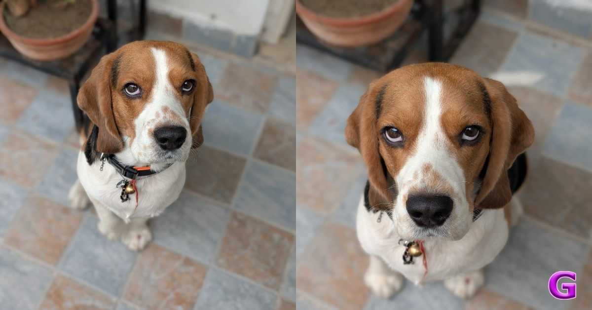 daylight portraits