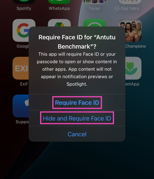 Step 3: If you simply want to lock an app, select Require Face ID. 