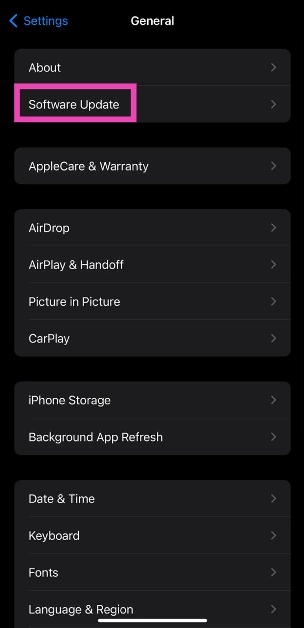 Step 3: Tap on Software Update.