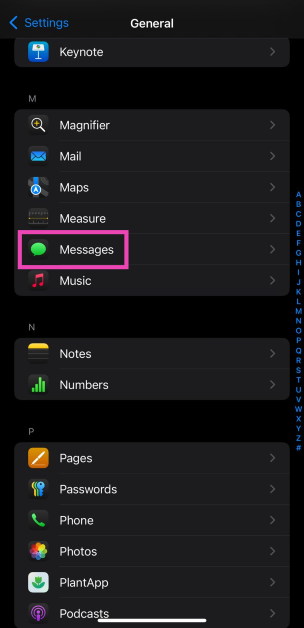 Step 4: Tap on Messages. How to enable RCS messaging on iPhone (iOS 18)