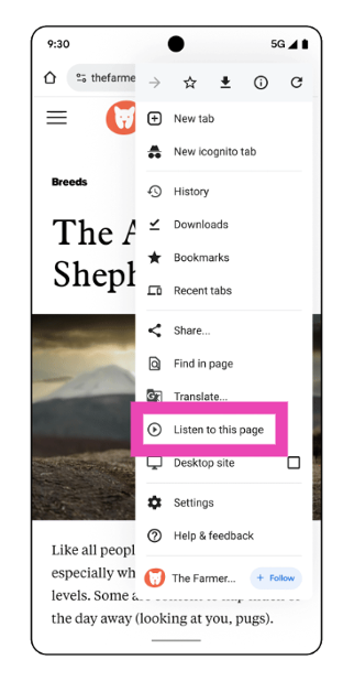 Step 3: Select Listen to this page.
