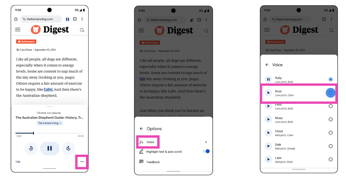 Step 5: To change the voice, tap the ellipses at the bottom right corner of the audio player and select Voice. Make a selection from the list. Google has added a new feature that allows users to listen to web pages and articles on Chrome for Android.