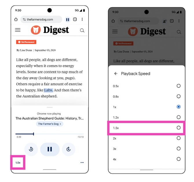 Step 6: To change the speed, tap on 1.0x at the bottom left corner of the audio player and select your preferred speed. 