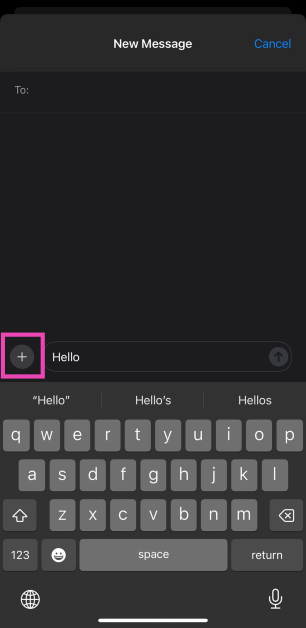 Step 3: Hit the Plus icon on the left side of the text box.