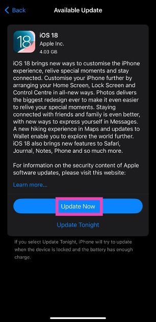 Step 4: Hit Update Now.