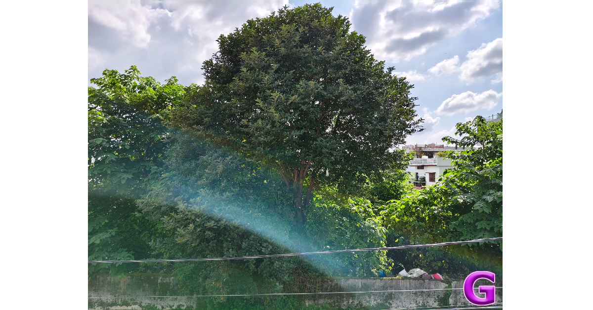 iQOO Z9s Pro Review: Performance and Cameras