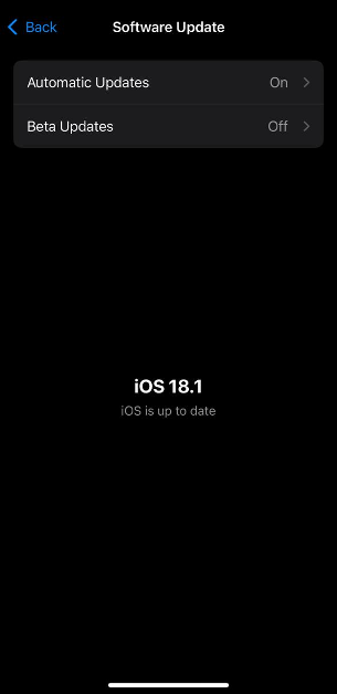 Step 3: You will see the iOS 18.1 update waiting to be downloaded. Hit Update Now.