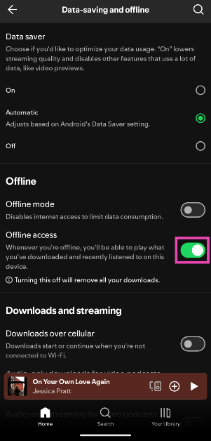 Step 5: Turn on the toggle switch next to Offline access.