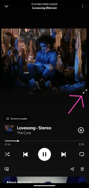 Step 5: Tap the video and hit the arrow icon to go full screen.