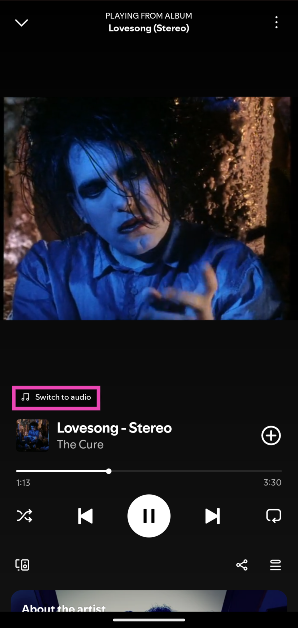 Step 6: Tap on Switch to audio to turn off the video.