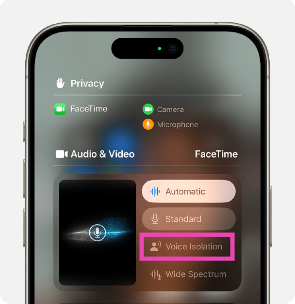 Step 4: Tap on Voice Isolation in the Audio and Video section. Your iPhone will suppress background noises and ambient sounds from the call.