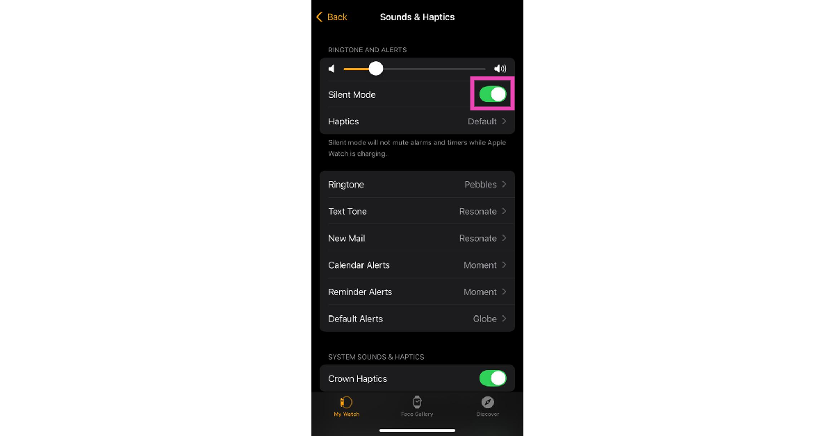 Step 3: Turn on the toggle switch next to Silent Mode.