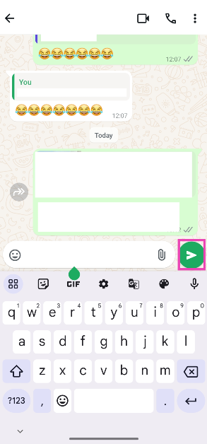 Step 6: Paste the blank character into the text box. 3 Ways to Send Blank Messages on WhatsApp, Instagram, & Telegram (2024)