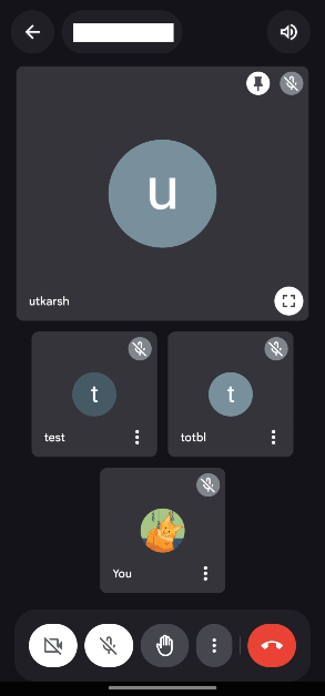Four smaller cells will be placed right below the pinned cell.  How to change the Google Meet layout on mobile and PC?