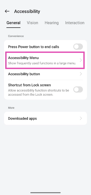 Step 3: Select Accessibility menu.