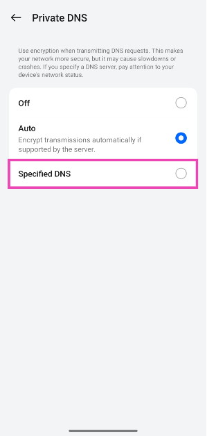 Step 3: Select Specified DNS.
