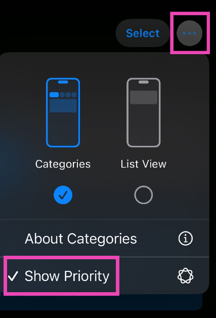 Step 2: Tap the ellipses in the top right corner of the screen. How to disable Apple Intelligence on an iPhone? disable notification summary