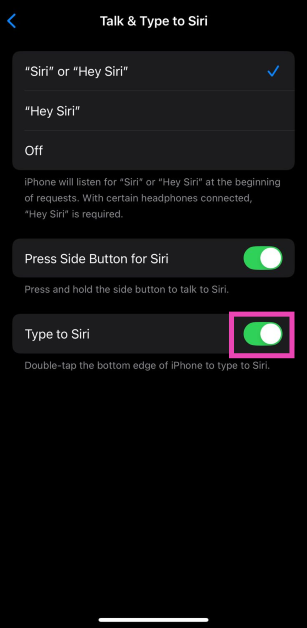 Step 3: Turn off the toggle switch next to Type for Siri. How to disable Apple Intelligence on an iPhone? disable notification summary